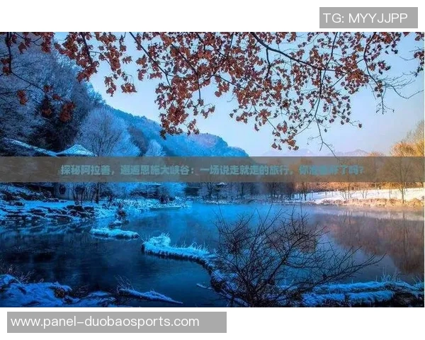 南美足球的魅力与激情探秘从历史到未来的精彩旅程